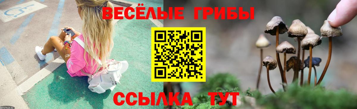 Советский  Галлюциногенные грибы Magic Shrooms  Вход с VPN  Галлюциногенные грибы мухоморы 